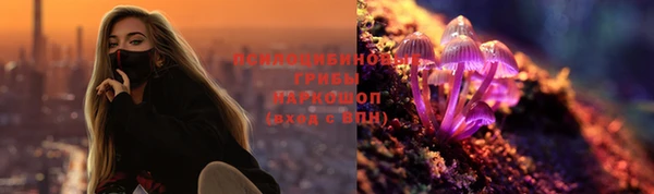 дмт Алексеевка