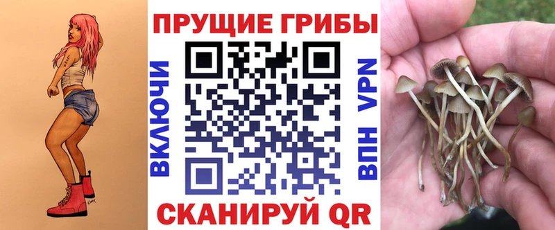 Псилоцибиновые грибы прущие грибы  Гаджиево 
